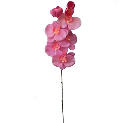 Orquidea Tl 73cm Fucsia 73 Cm Krea