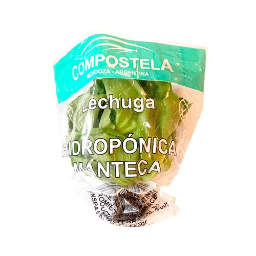 Lechuga Manteca Hidroponica Compostella