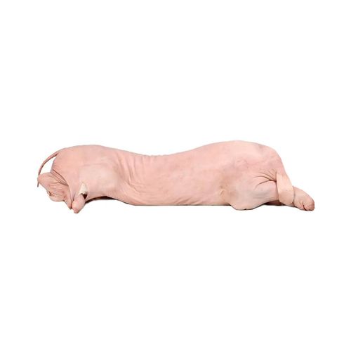 Medio Lechon Congelado - 6kg Aprox