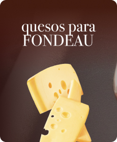 Quesos para Fondue